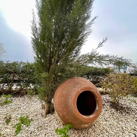 Daniel's Paphos