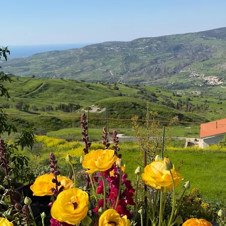 Daniel's * Paphos