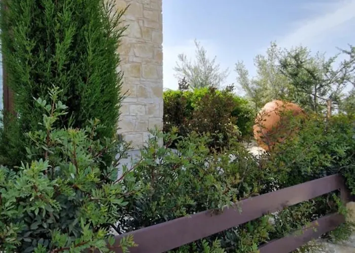 Daire Daniel's Pafos